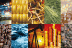 UBS launches sustainable commodities ETF