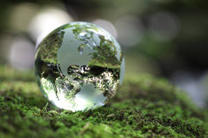 Emerge rolls out sustainable multi-manager global equity ETF