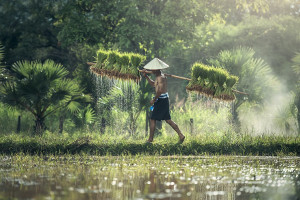 FinEx launches emerging markets ‘ex-Chindia’ ETF on MOEX