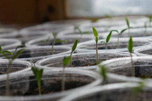 Amundi adds US small-cap ETF to ESG line-up