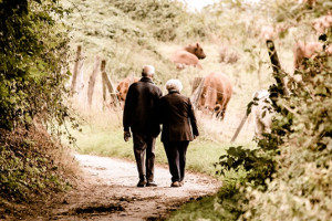 Evermore rolls out target date retirement ETFs on NEO