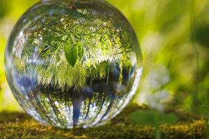 Europe’s ESG ETF industry resilient in 2022