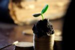 Dimensional unveils sustainable multi-factor global bond ETF