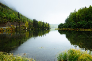 ESG environment ETFs sustainable