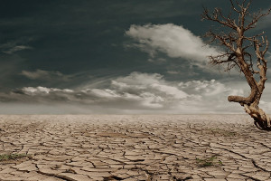 Investing in water: how investors can mobilise to fight water scarcity