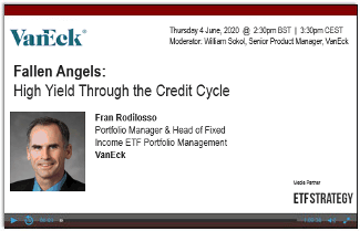 Fallen Angels: High Yield Through the Credit Cycle