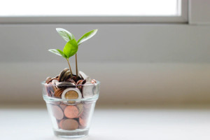 Dividend Income ESG