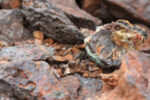 Sprott adds copper miners ETF to energy transition suite