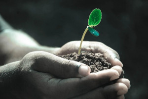 KraneShares launches carbon offset ETF