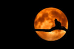 ‘Night Effect’ ETFs to close