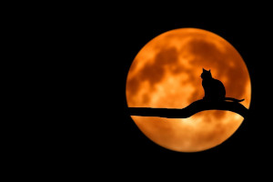 NightShares launches ETF for leveraged nocturnal trading
