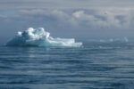 DWS rolls out climate transition ETFs