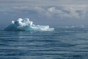 DWS rolls out climate transition ETFs